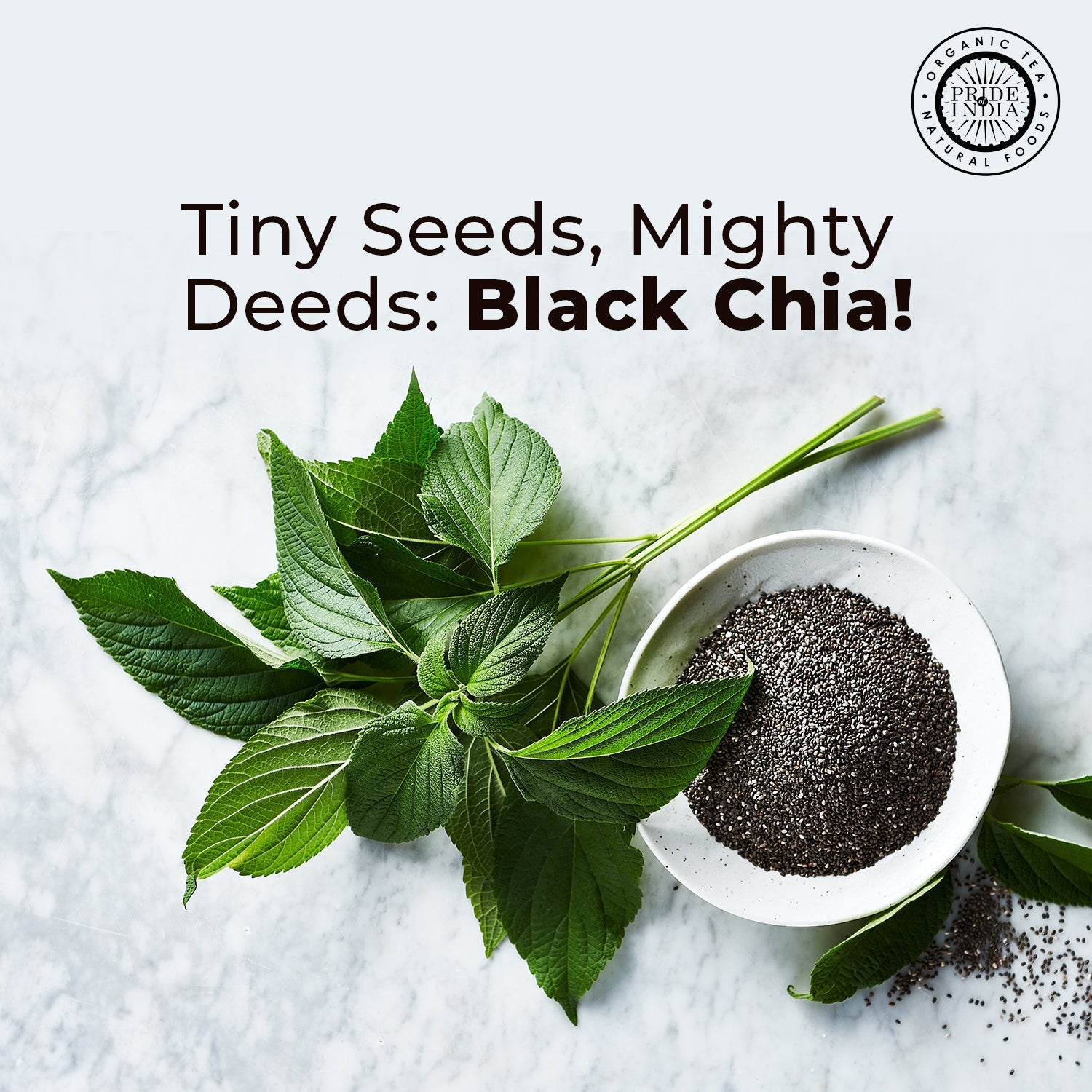 Whole Black Chia Seeds - Omega-3 & Calcium Superfood Jar